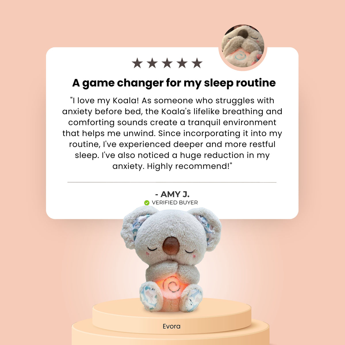 The Relief Teddy bear