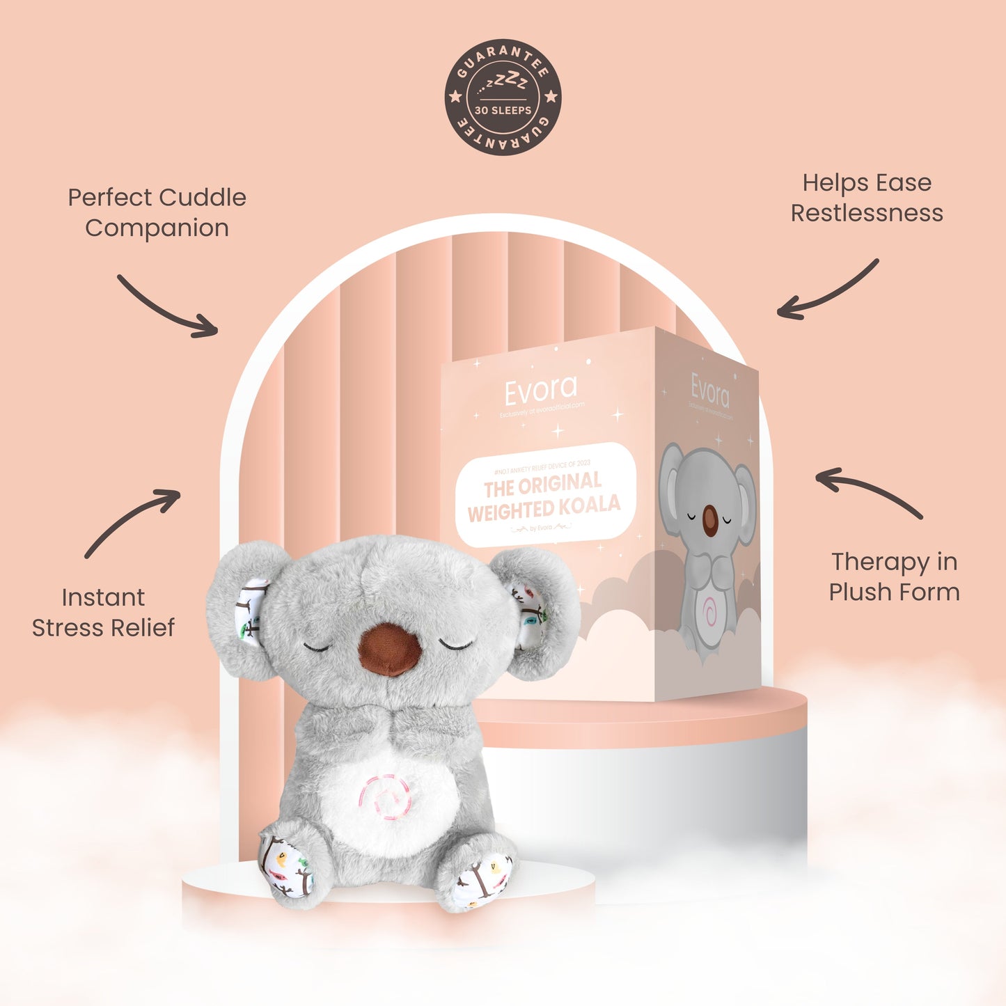 The Relief Teddy bear