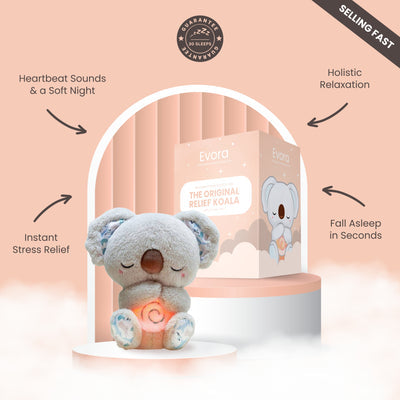 The Relief Teddy bear
